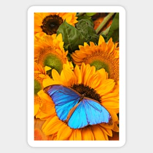 Blue Butterfly On Sunflower Sticker